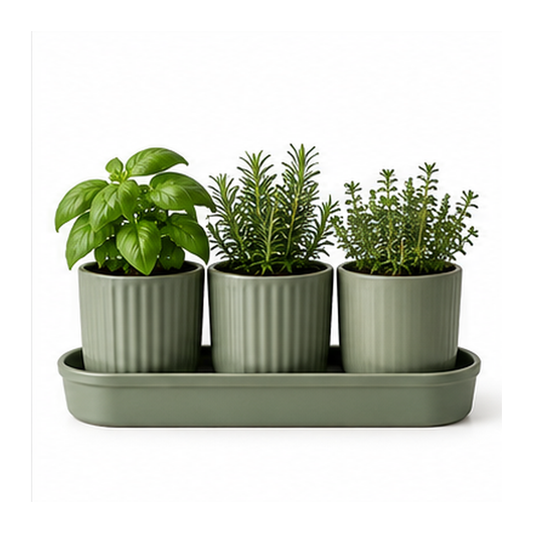 Pavriqa Herb Growing Tray